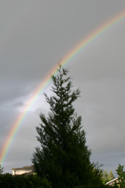 Rainbow-1-1 (35k image)